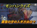 モンハンライズ　轟竜の牙の入手方法は？　＃２４９【ＭＨＲ】