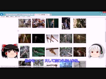 【閲覧注意】検索してはいけない言葉 ゆっくり茶番実況PART１