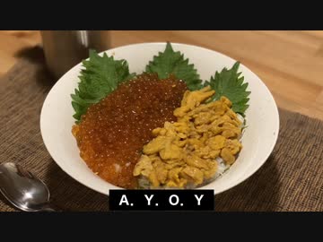 自分を大蛇丸と信じて止まない一般男性が、ウニ・イクラ丼で優勝する動画です。
