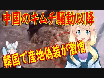 【韓国の反応】中国のあのキムチ事件以降、韓国の食堂では産地を偽装するお店が600件以上摘発！【世界の〇〇にゅーす】