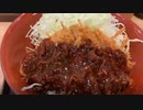 2021/04/16放送【14日目 昼食 味噌カツ丼】猫と車中泊　日本縦断　サイコロの旅　北海道にたどり着けるか？【旅猫あずき～保護猫から旅猫へ～】