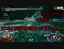 【実況】MHR#30　太刀の試練