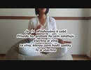 Když to nehodíš, nedostaneš to投げかけなければ返ってこない（チェコ語）