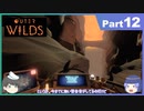 【ゆっくり実況】ムラいちがOuter Wilds Part12