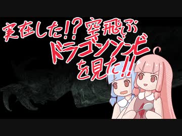 【SKYRIM VR】剣と魔法のファンタジー世界で茜ちゃんが生き抜く 56