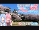 【GRヤリス車載】琴葉姉妹のノープラン・リエゾン＃11（桜の兼六園・石川橋）