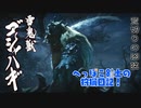 【実況】へっぽこ剣士の狩猟日記#28【MHRise】