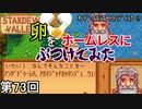 【Stardew Valley】 迷惑系ユーチューバー侍 第73回【実況】
