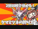 【MHRise】2分50秒で分かる(ない)！タマミツネの狩り方！【VOICEROID実況】