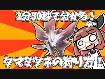 【MHRise】2分50秒で分かる(ない)！タマミツネの狩り方！【VOICEROID実況】