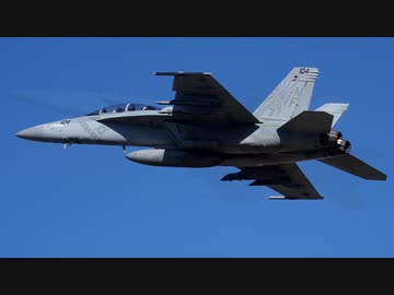 [横田基地]F/A-18E,F戦闘攻撃機とEA-18G電子戦機の離陸を撮る!![VFA-27,VAQ-141,VFA-102,VFA-195]