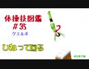 【VOICEROID解説】京町セイカの体操技図鑑　第三十五回　クエルボ