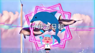 イルカ日和 / 初音ミク