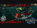 【実況】MHR#31　アンジャナフでか過ぎ！