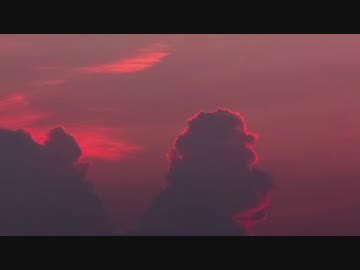 幽/miku