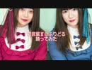 【ふりどる】愛言葉Ⅱ【踊ってみた】