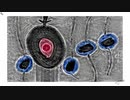 【オルガン ポストロック】,o,--- - Name【インストゥルメンタル ポストロック シューゲイズ】
