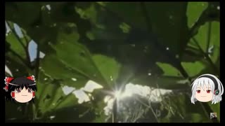 人気の 閲覧注意 動画 3 323本 ニコニコ動画