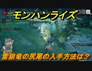 モンハンライズ　雷狼竜の尻尾の入手方法は？　＃２９３【ＭＨＲ】