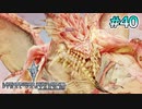 【ライトニングリターンズFF13】究極獣アイロネート｜#40【実況】