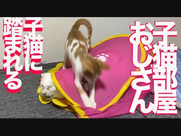 子猫部屋おじさんが美少女子猫に踏まれる