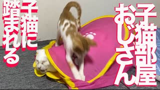 子猫部屋おじさんが美少女子猫に踏まれる