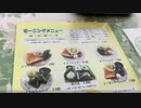 2021/04/17放送【15日目 名古屋モーニング】猫と車中泊　日本縦断　サイコロの旅　北海道にたどり着けるか？【旅猫あずき～保護猫から旅猫へ～】
