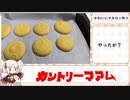 マカロンを作りたかった動画