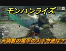 モンハンライズ　天狗獣の尾甲の入手方法は？　＃３０２【ＭＨＲ】
