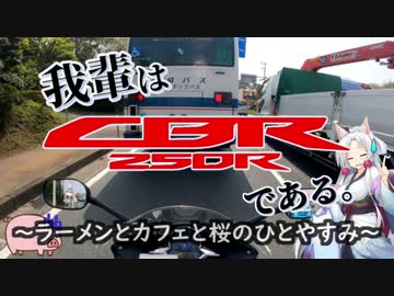 【東北イタコ車載】我輩はCBR250Rである。 #02「ラーメンとカフェと桜のひとやすみ」