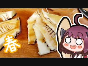 筍のお刺身【季節を味わう】