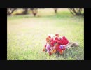ドライフラワー/arch【歌ってみた】