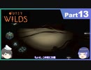 【ゆっくり実況】ムラいちがOuter Wilds Part13