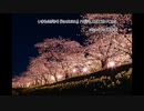 いきものがかり『SAKURA』ハモリも入れて歌ってみた　covered  by 伊藤彩由里