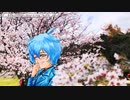 【SR400車載】SRさん～Her name is "SR"～ chapter,03「ちょっとそこまでお花見へ」