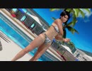【DoaX3F】グラビアパラダイス 紅葉041804