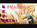 サーバル「かばんちゃん、私を見て！ガン見して！」【けものフレンズ】
