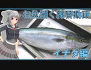 【マイム】　お魚捌く練習　～イナダ編～【小春六花】