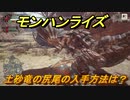 モンハンライズ　土砂竜の尻尾の入手方法は？　＃３１４【ＭＨＲ】