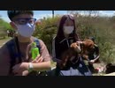 ニンポー 2021年04月18日06時41分 朝のひと時 →  筑波山へ【ニコ生録画】