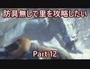【MHRise】初見実況プレイ 防具無しで村クエ攻略したい Part12