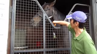 ゴールドシップと見る意地でも人参を食べないステイゴールド