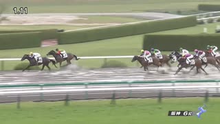 ペプチドサンライズ　阪神・3歳1勝クラス　2021年4月17日