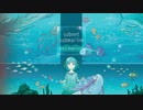 【M3-2021春】 Subnet Submarine Extra Experience　XFD