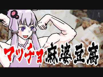 マッチョ麻婆豆腐