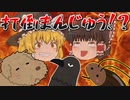 【ゆっくり茶番】打倒ゆっくり！？異色の３匹登場！