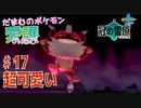 【実況】だまむのポケモン愛護のたび「冠の雪原」 ＃１７