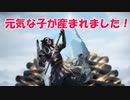 【MTGAゆっくり実況】赤くて速いMagic Arena /ボロス・送り火ータ【スタンダード】