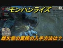 モンハンライズ　雌火竜の翼膜の入手方法は？　＃３３７【ＭＨＲ】