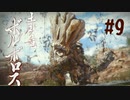 【女性実況】相も変わらず弓使いがひと狩り行くぜ！【MHR】#9